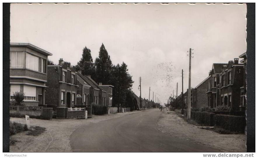 Nijlen Broechemsteenweg - Nijlen