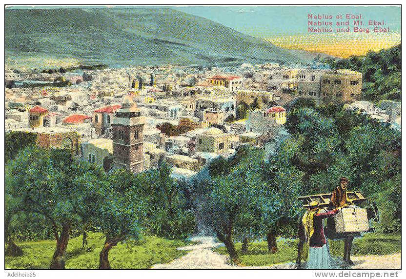 Palestina, Palestine, Nablus Ebal Ca 1905-1910 - Palestine