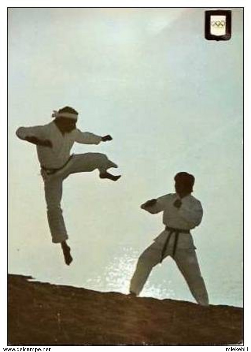 SPORT-KARATE-JIYU-KUMITE-LUTTE - Martiaux