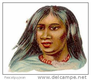 DECOUPI VISAGE D'INDIEN - Andere & Zonder Classificatie