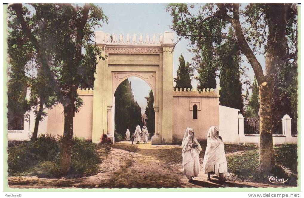 ALGERIE.TLEMCEN.ORAN VISITE AU CIMETIERE MUSULMAN   ..SEMI MODERNE  Cp Colle Au Dos état - Tlemcen