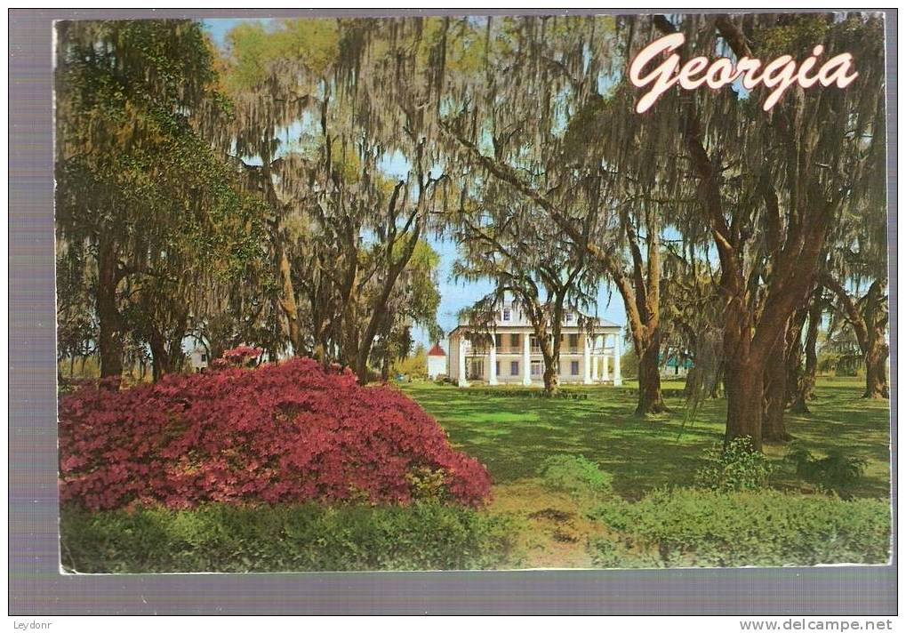 Georgia Is The Home Of Southern Charm And Beautiful Landscapes - Other & Unclassified