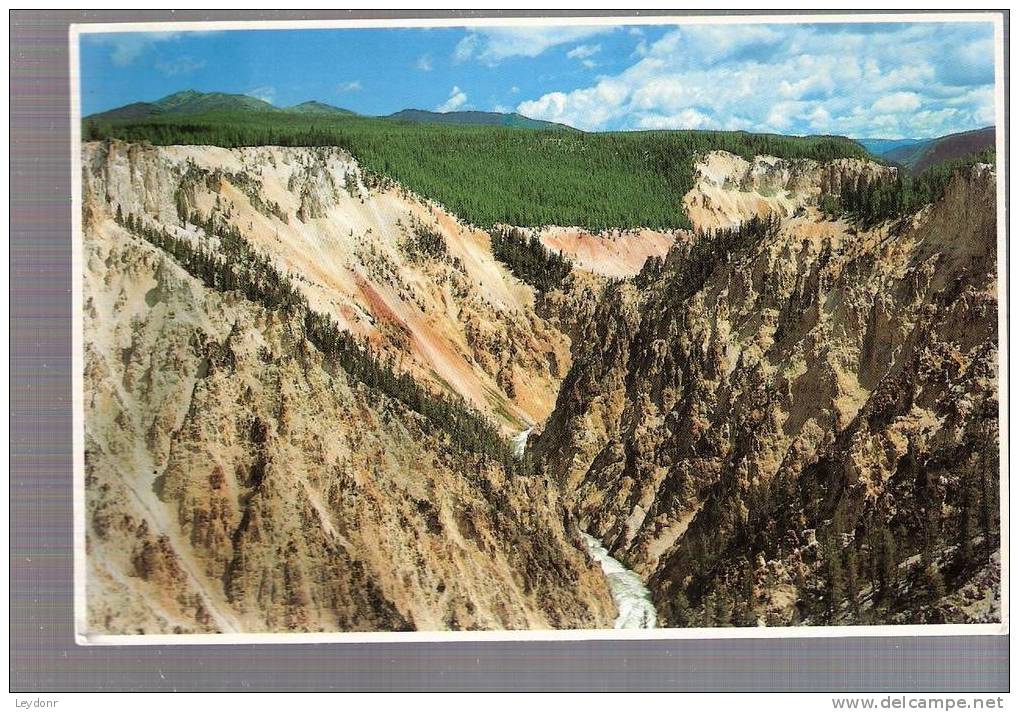 The Grand Canyon Of The Yellowstone - Wyoming - Yellowstone