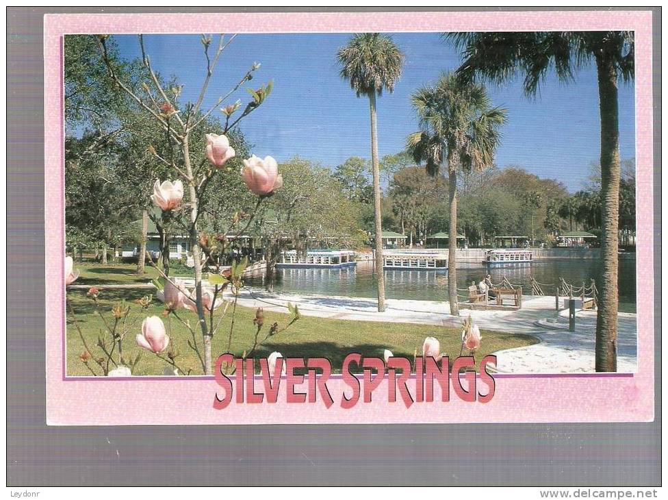 Silver Spring, Florida - Silver Springs