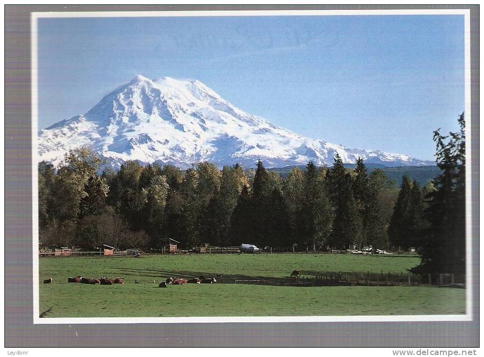 Mount Rainier - Washington - Andere & Zonder Classificatie