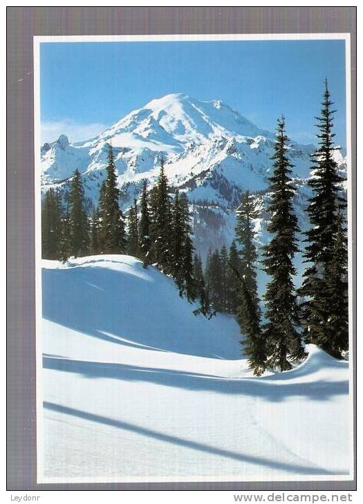 Mount Rainier View From Chinook Pass- Washington - Autres & Non Classés