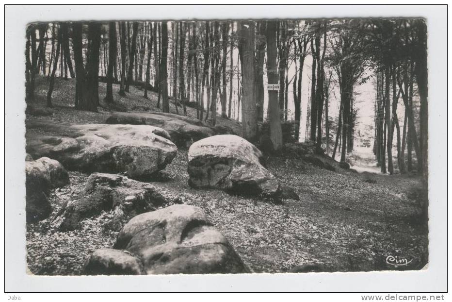 VILLERS COTTERETS. 26.  LES ROCHES LA FORET ROUTE DE SOISSONS - Villers Cotterets