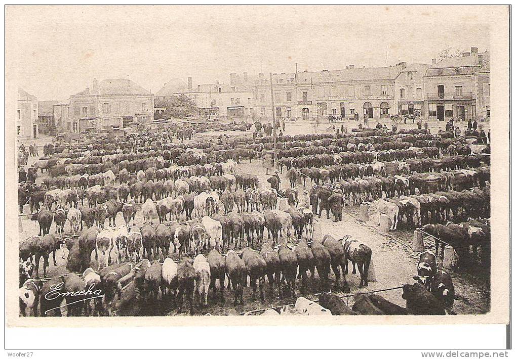 CPA CHEMILLE Le Champs De Foire - Chemille