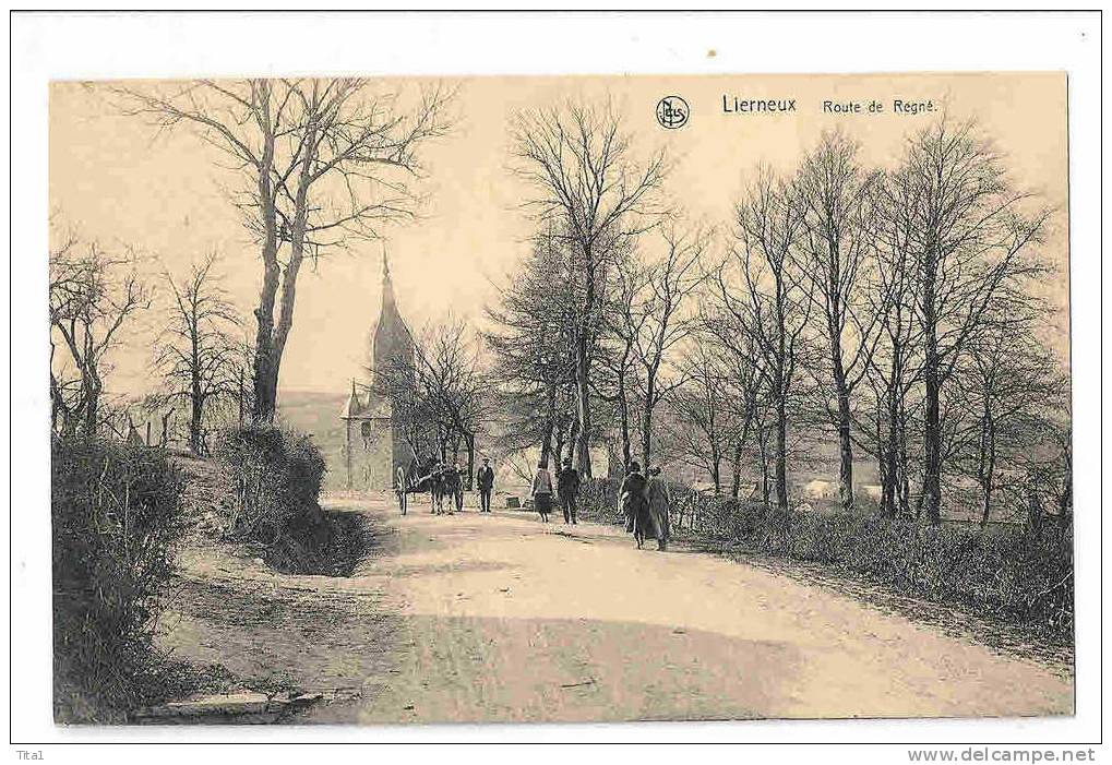 C8390 - LIERNEUX - Route De Regné   *atelage* - Lierneux