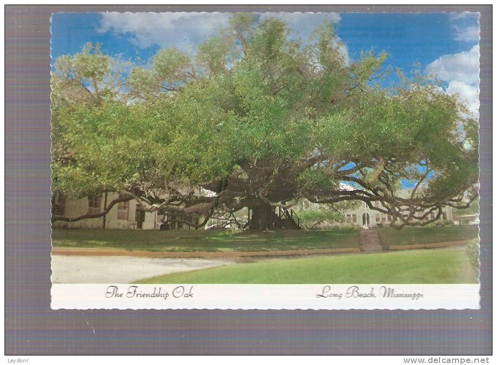 The Friendship Oak, Long Beach, Mississippi - Altri & Non Classificati