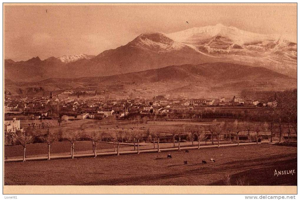 PRADES : (66) Vue Générale Et Le Cantgou (2785 M) - Prades