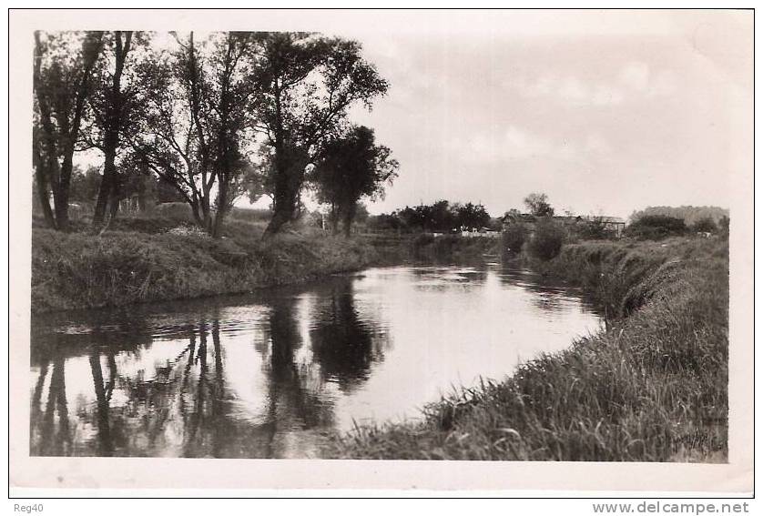 D02 - CHAUNY  -  Les Bords De L'Oise - Chauny