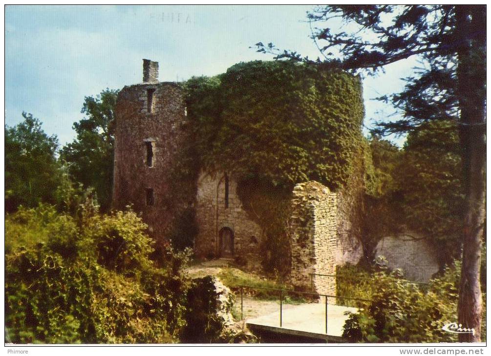 CPSM Herbignac (Loire Atlantique) Château De Ranrouet (XIIe Et XVIIe Siècle) - Herbignac