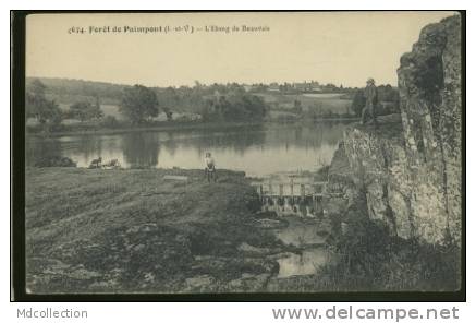 35 PAIMPONT L'étang De Beauvais - Paimpont