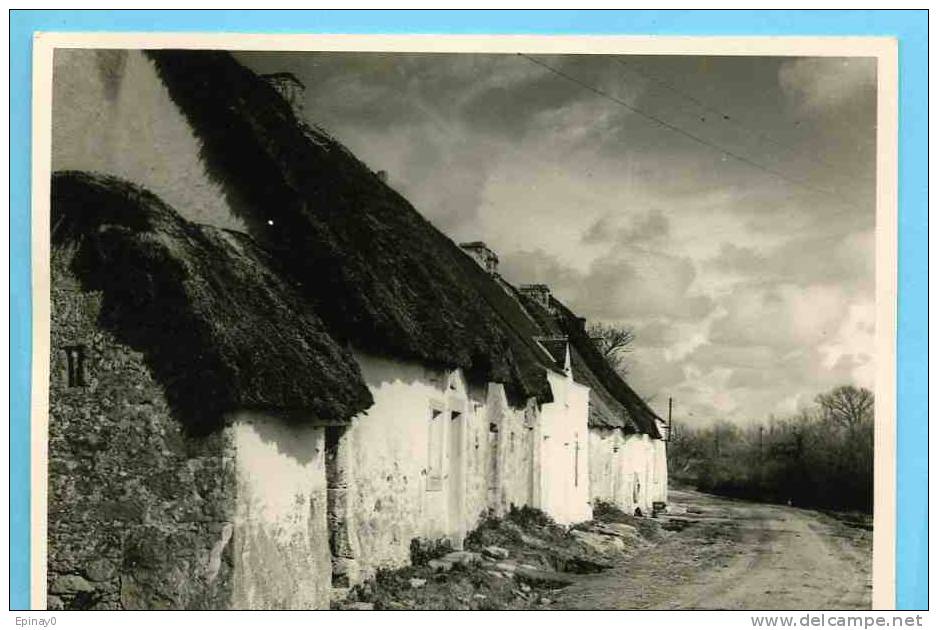 B - 44 - SAINT JOACHIM - édition Cholet N° 6619 - Caillaudin En Briére - Chaumiére - Saint-Joachim