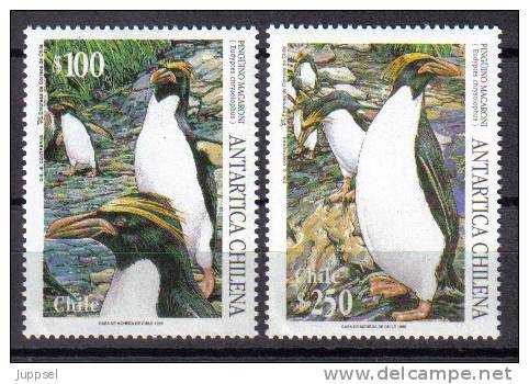 CHILE 1995  Penguin  / CHILI  Pingouin - Manchot - Pinguine