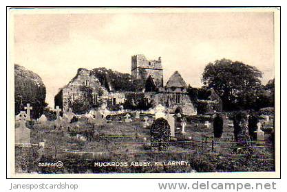 MUCKROSS ABBEY - Killarney - Co.Kerry - IRELAND - EIRE - Kerry