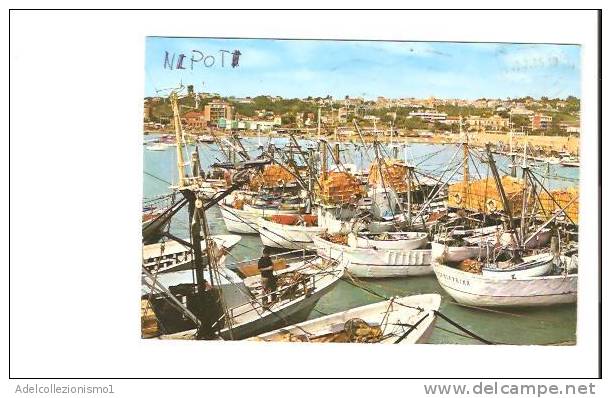 18379)cartolina Illustratoria  Giulianova Lido - Il Porto - Teramo