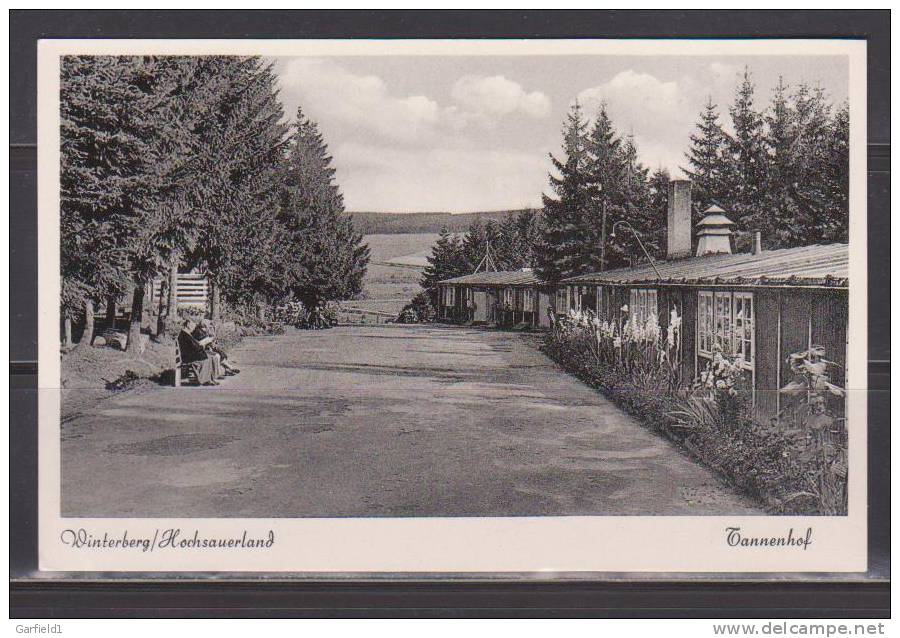 Winterberg   (TL26)   Hochsauerland  -  Tannenhof - Winterberg