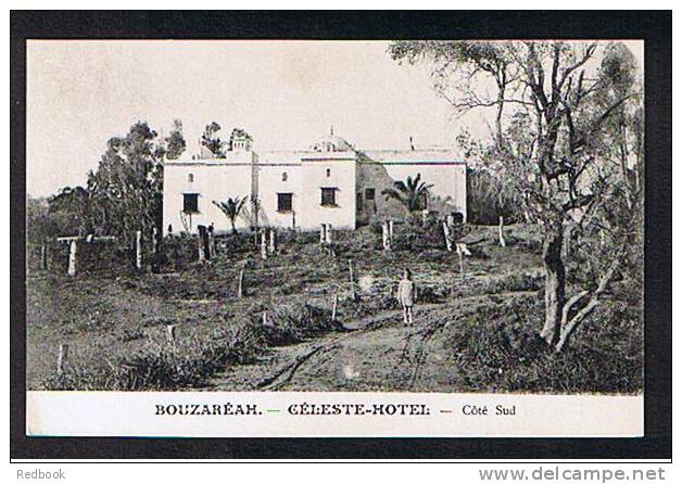 4 Early Postcards Celeste Hotel Bouzareah Algiers Alger Algeria - Ex France Colony - Ref 300 - Algiers