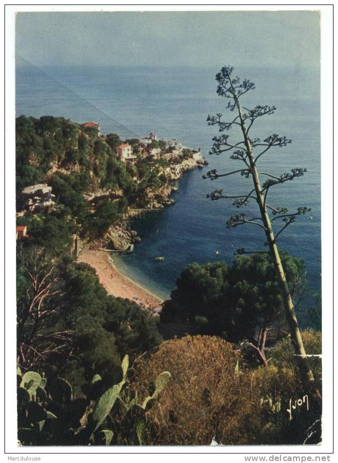 Cap-d´Ail. La Plage Et Le Cap. La Côte D´Azur, Miracle De La Nature. - Cap-d'Ail