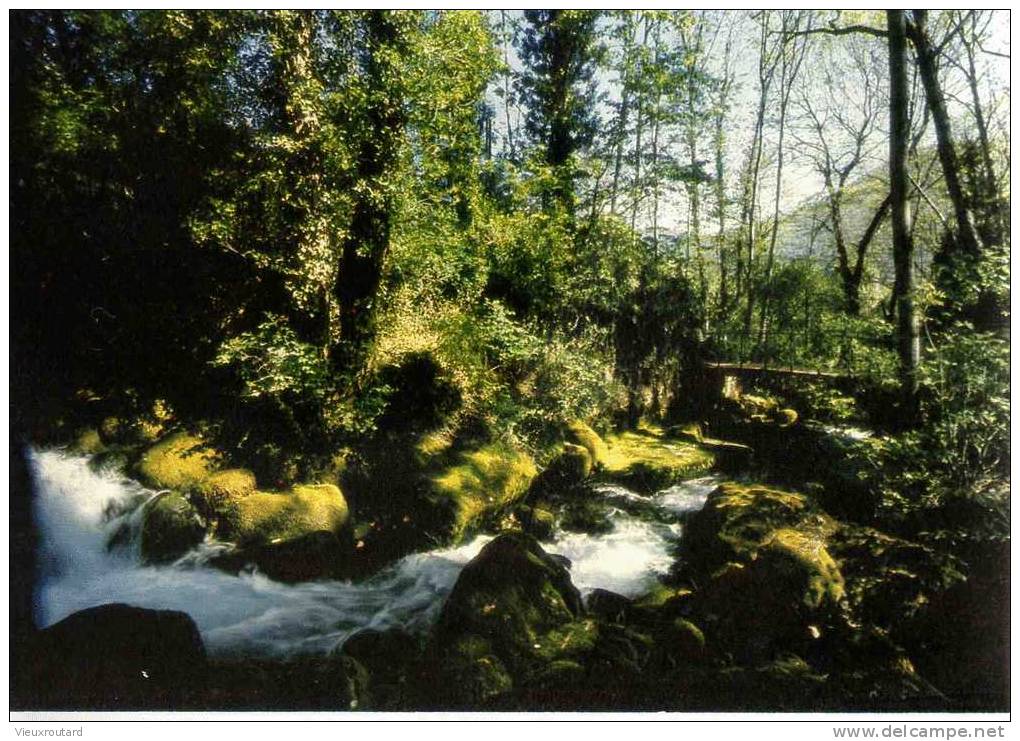 CPSM.  FLORAC. SERPENTANT DANS LE PARC ARNAL.LE TORRENT DE LA SOURCE DU PECHER TRAVERSE LA VILLE ET VA DANS LE TARNON. - Florac