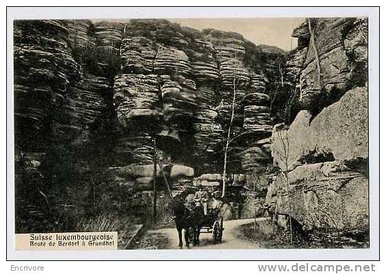 Cpa Petite Suisse Luxemourgeoise Route De BERDORF à GRUNDHOF Belle Voiture Attelée  -ed Zenner - Berdorf