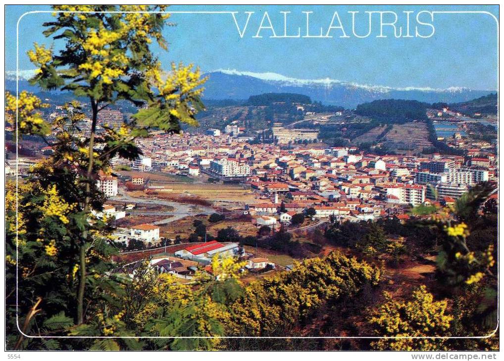 Cpm 06 ALPES MARITIMES    VALLAURIS VUE GENERALE - Vallauris