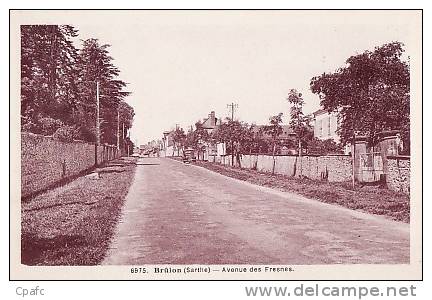 BRULON : Avenue Des Fresnes - Brulon