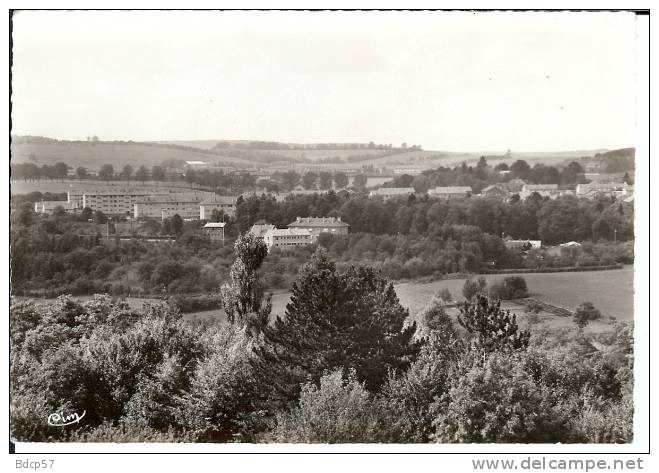 88 - Vosges - MIRECOURT -  H.L.M No 176 - Dentelée - Mirecourt