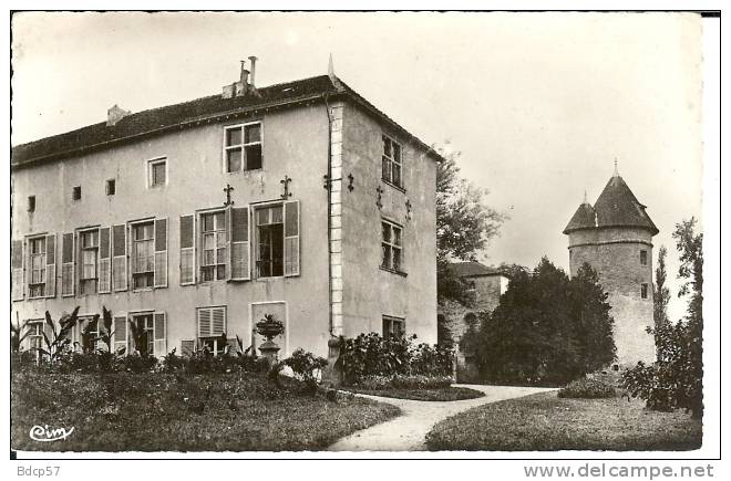 88 - Vosges - MIRECOURT -  RAVENELLE - 9 X 14 - Dentelée - Mirecourt