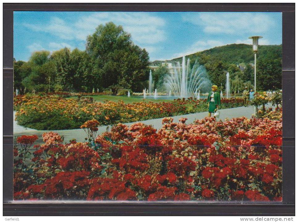 Bad Kissingen  (TL65)   Rosengarten - Bad Kissingen