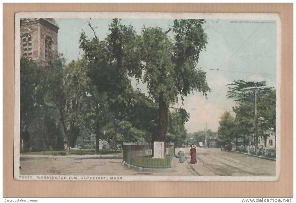 MASS WASHINGTON ELM CAMBRIDGE MASSACHUSETTS 1910s ¤ PHOSTINT 70697 ¤ USA ¤7916A - Boston