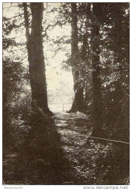 Loonbeek Monastere Des Clarisses Colettines Coin Du Parc - Huldenberg