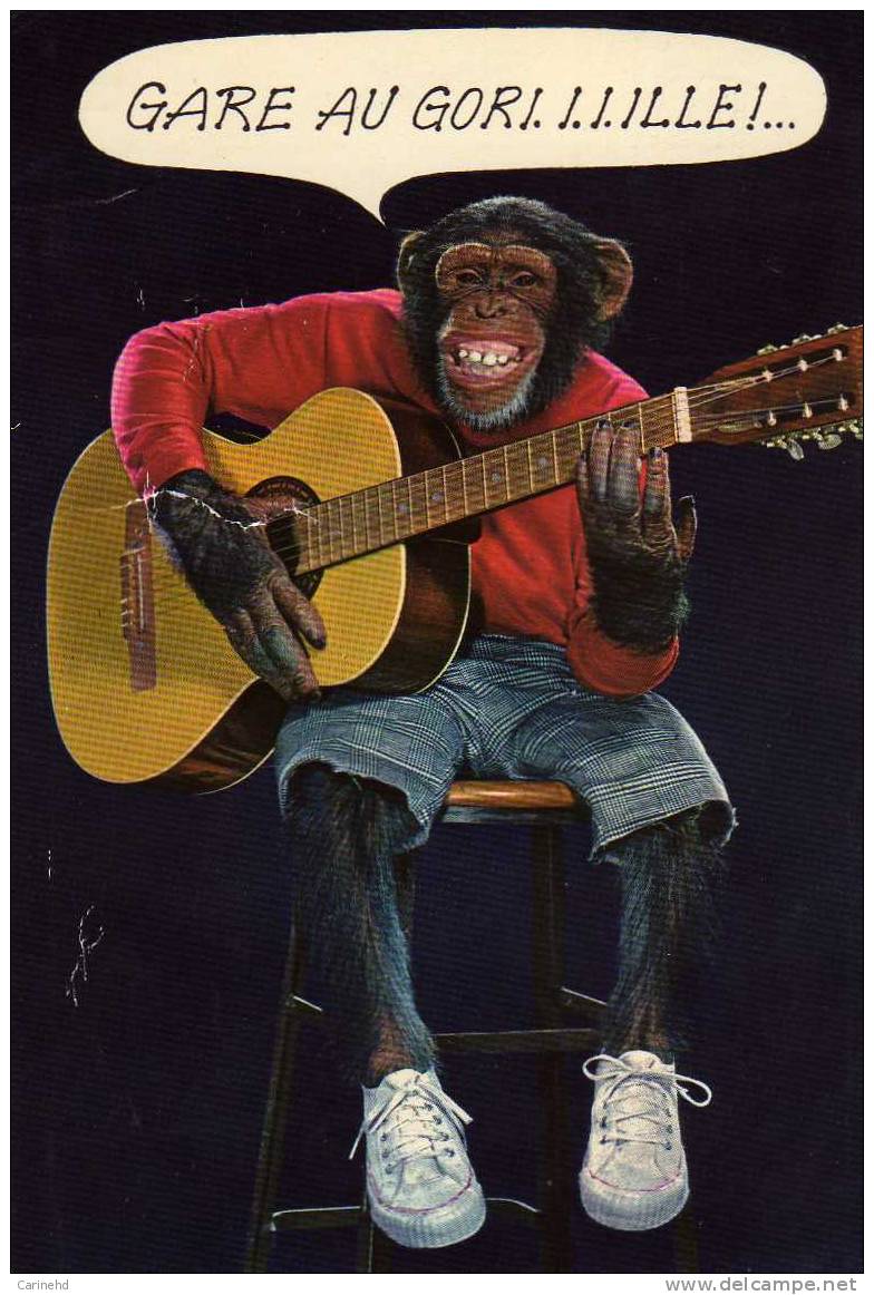 Singe Gare Au Gori.i.i.ill.e - Monkeys