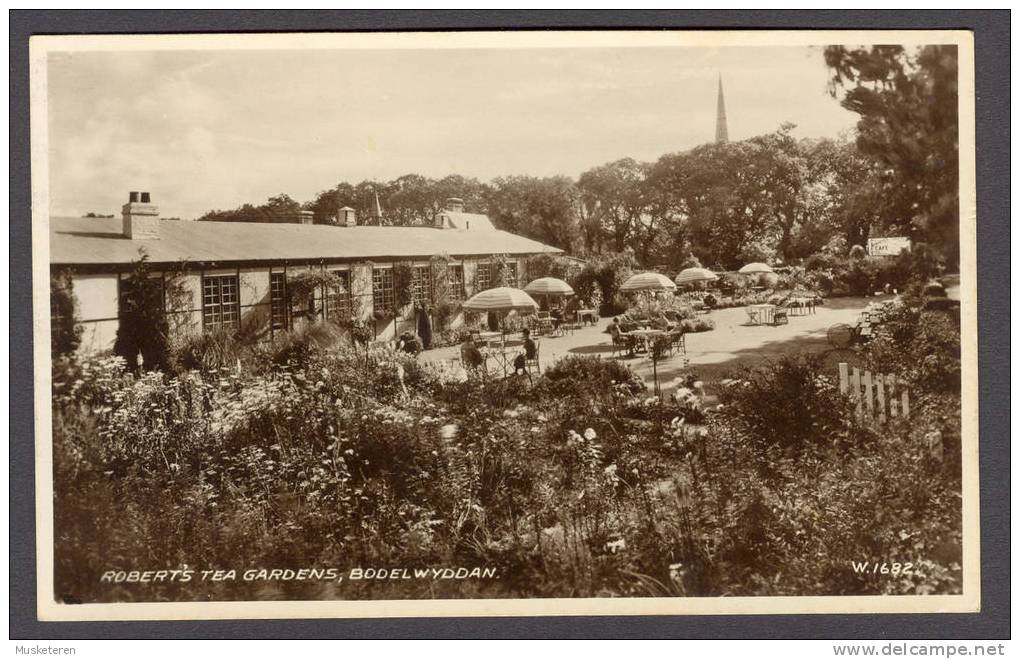 United Kingdom Wales Denbighshire Bodelwyddan Robert's Tea Gardens Old Real Photo Mint Card - Denbighshire