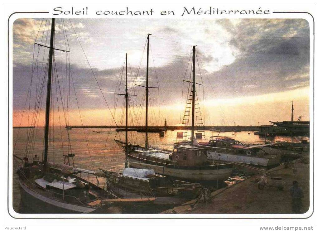 CPSM. SOLEIL COUCHANT SUR LA MEDITERRANEE. DATEE  1996. - Contre La Lumière