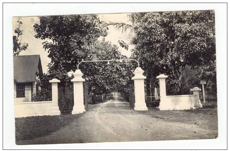 RP; Road To Governor's Residence, Samoa, 1910s - Samoa