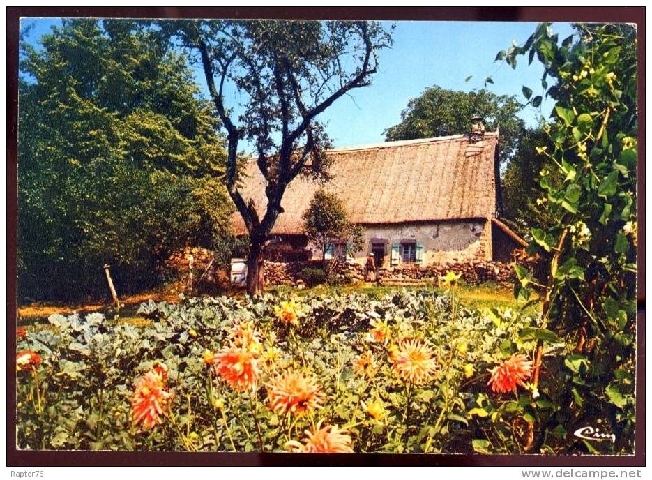 CPSM  AUVERGNE  Une Chaumière Auvergnate - Auvergne