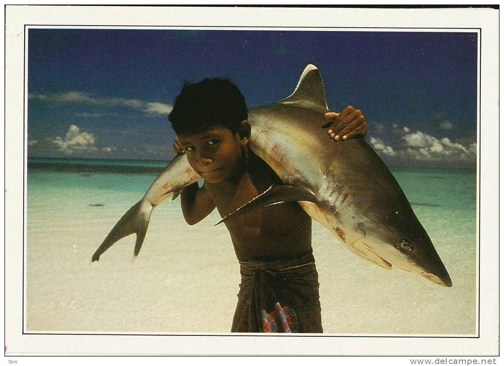 REPUBBLICA DELLE ISOLE MALDIVE: UN FANCIULLO PESCATORE CON SQUALO DALLA PINNA BIANCA. - Maldives