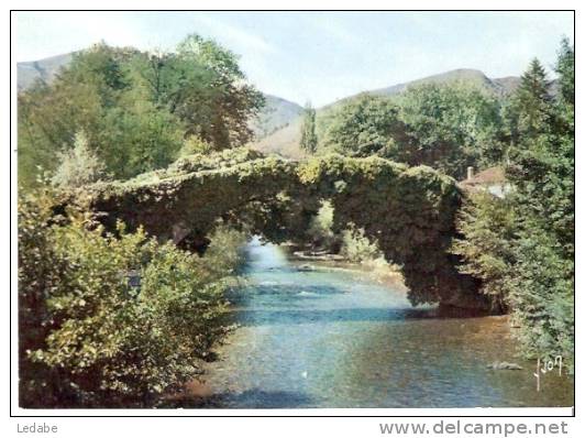 C3906 - CPM De ST-ETIENNE-DE-BAIGORRY, Vieux Pont Sur La Nive. - Saint Etienne De Baigorry