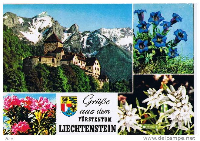 Liechtenstein Grub Aus Dem Furstentum - Liechtenstein