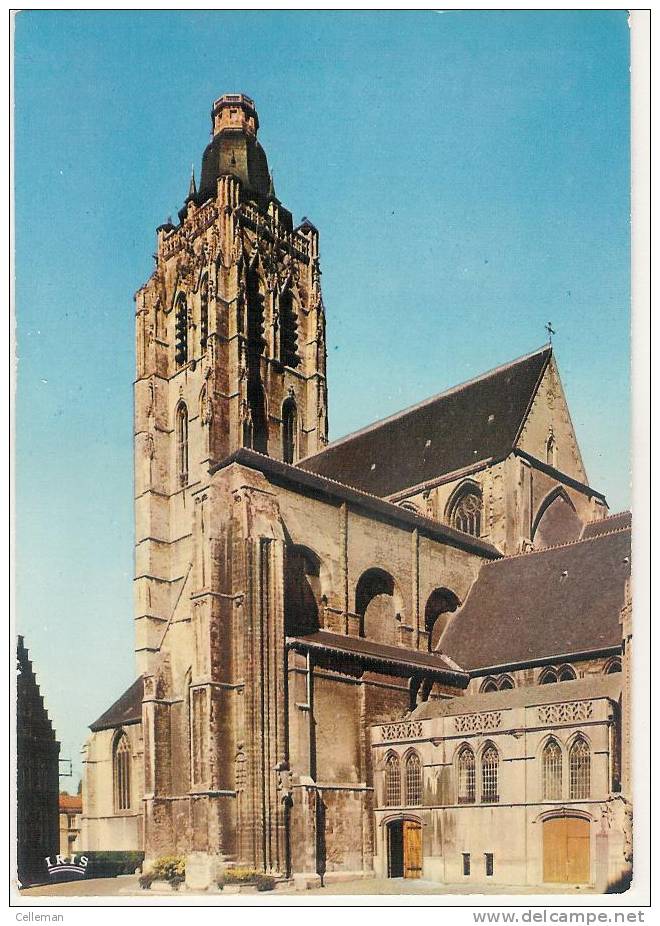 Oudenaarde Ste Walburgakerk En Heldenmonument (f094) - Oudenaarde