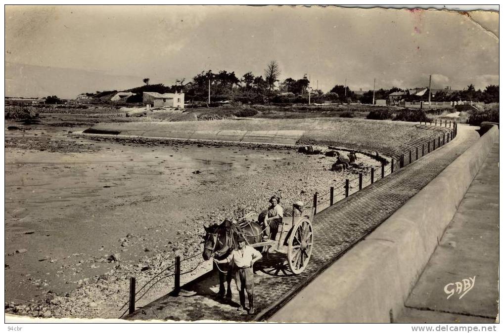 CPSMPF (17) ANGOULINS  Plage De St  Jean Des Sables Depart Pour La Peche Aux Huitres (choc Coin Haut Droit) - Angoulins