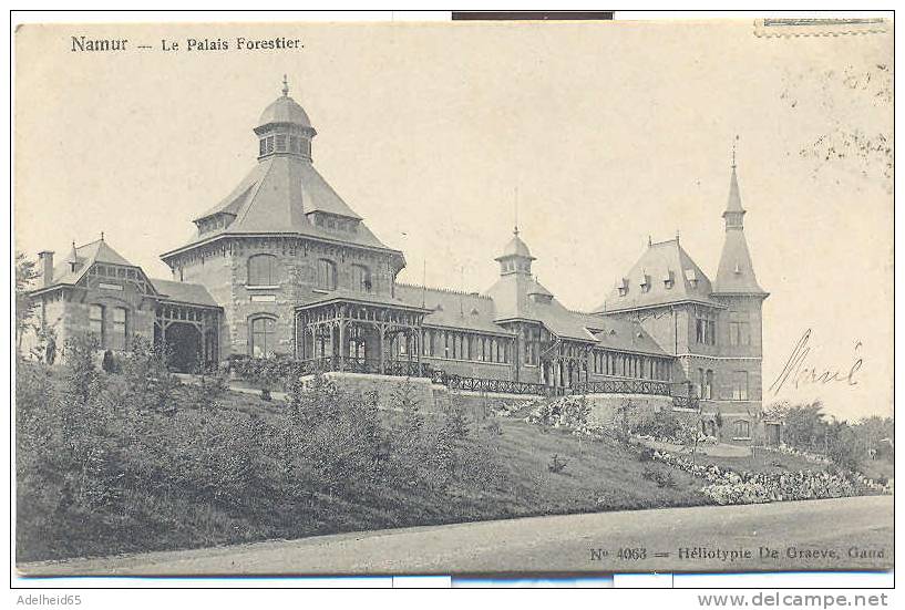 Namur,Le Palais Forestier, Héliotypie De Graeve 1907 Format: 13,4 X 8,5 Cm - Yvoir