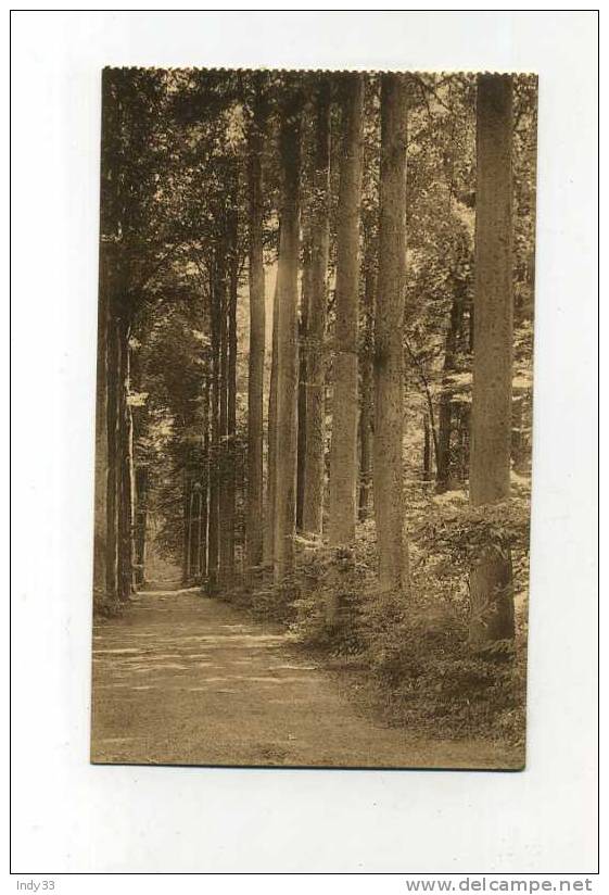 -  BELGIQUE . BRABANT FLAMAND . LENNIK . CHÂTEAU DE GAESBEEK LEZ-BRUXELLES . ALLEE LE LONG DES ETANGS - Lennik