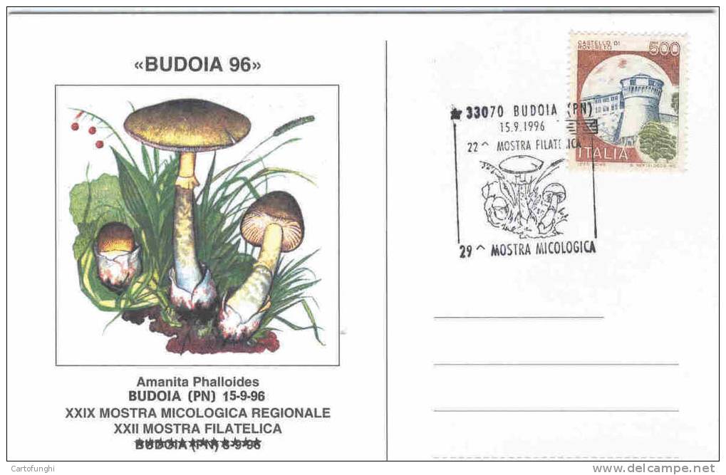 BUDOIA 15.9.1996 AMANITA PHALLOIDES NUMERATA  Nr.325 FUNGHI   CHAMPIGNONS – MUSHROOMS  PILZE – SETAS - Funghi