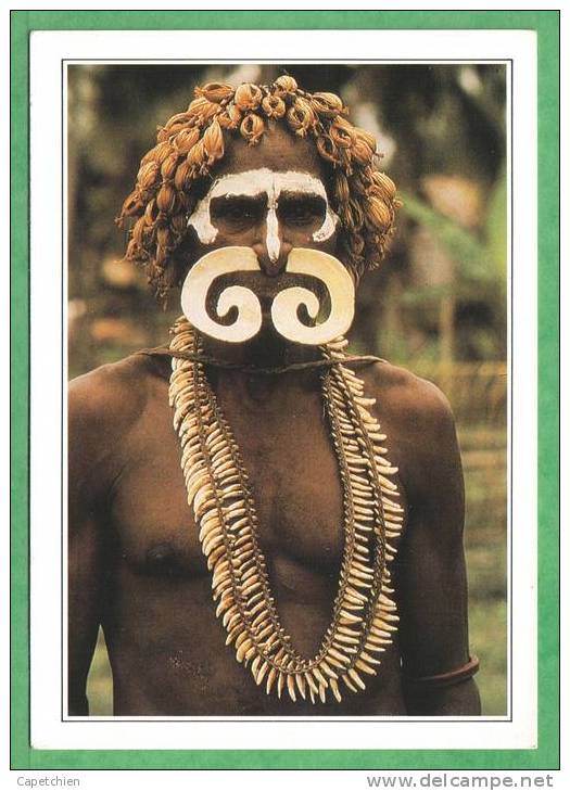 PAPOUASIE - NOUVELLE GUINEE - GUERRIER CHASSEUR DE TÊTES ASMAT - Carte Vierge - Papua Nueva Guinea