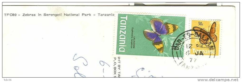 TANZANIA  - ZEBRE IN MATIONAL PARK - COLORI  VIAGGIATA  1977 -BOLOGNA . - Tanzania