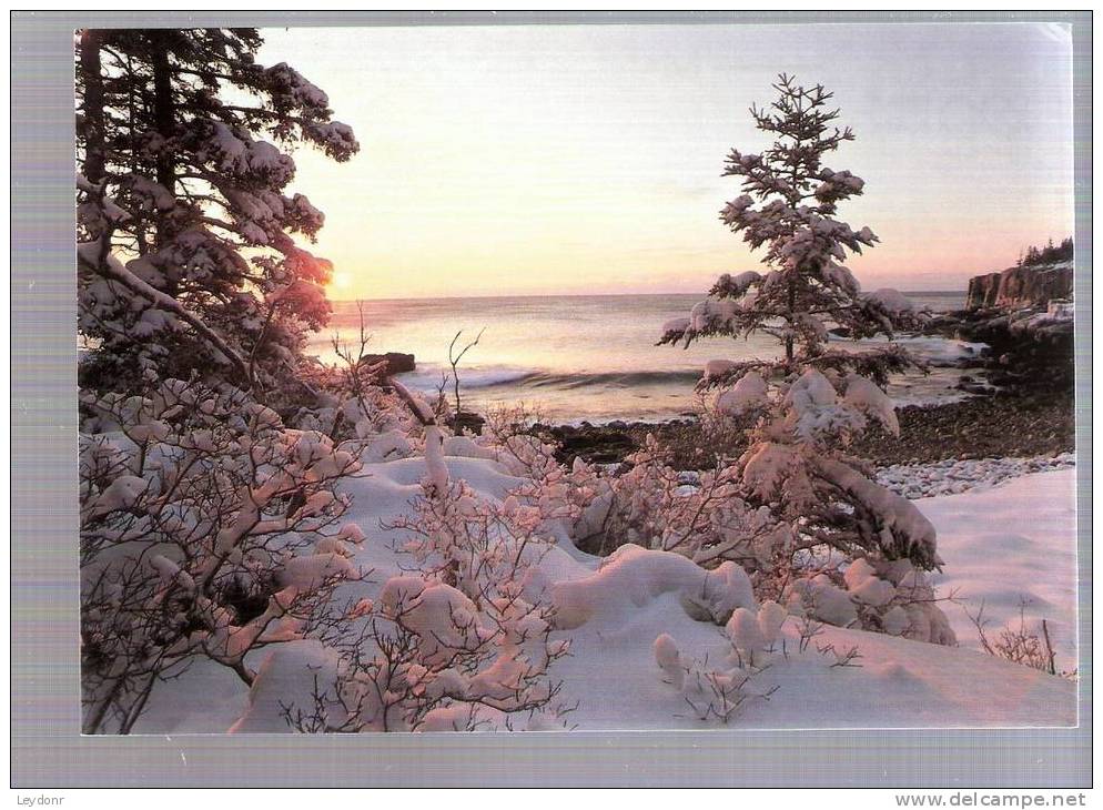 Ocean Drive, Acadia National Park - Maine - Autres & Non Classés